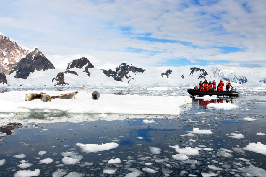 Icebergs and wildlife in Antarctica